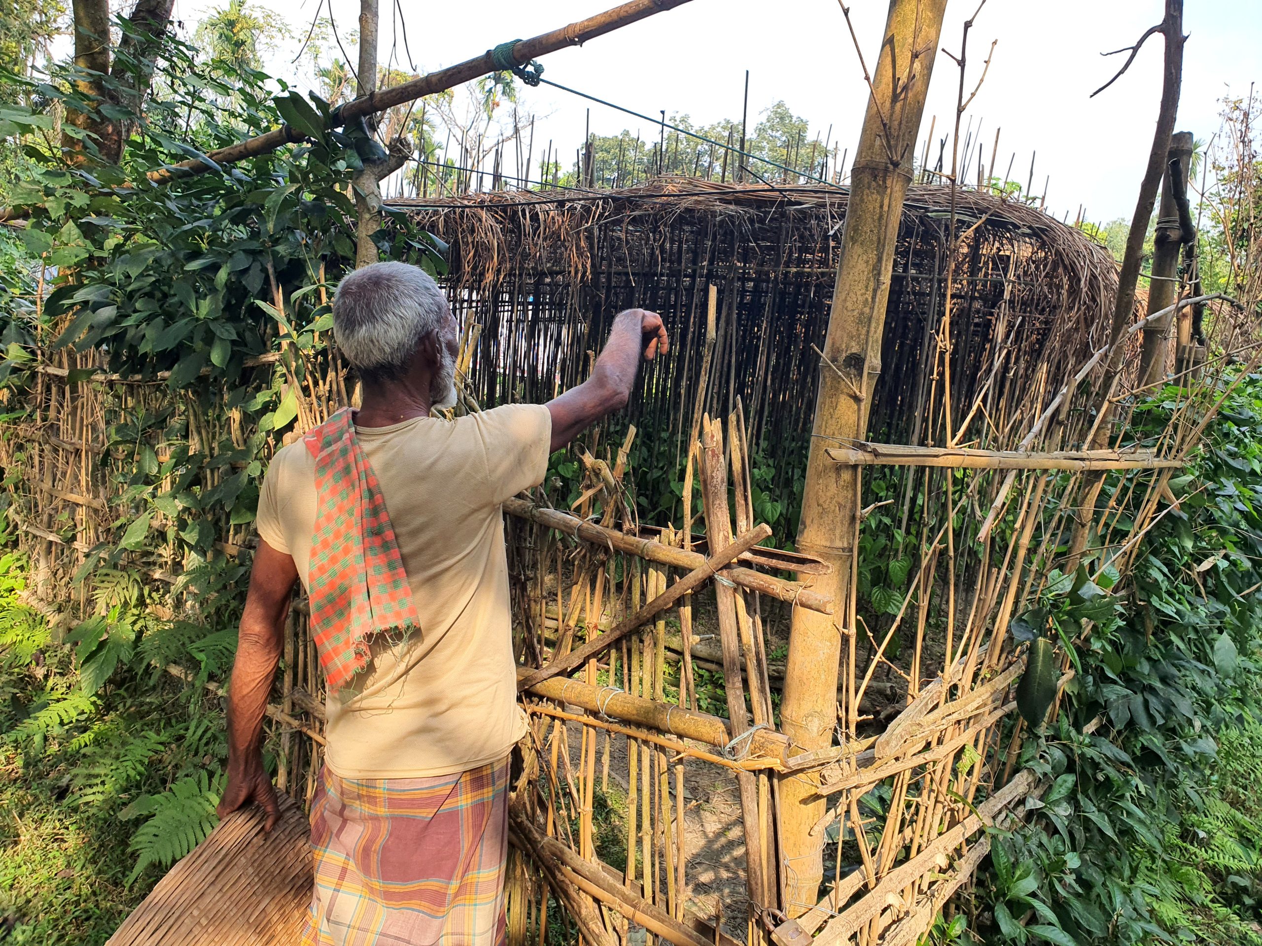 বিলুপ্তির পথে কিশোরগঞ্জের পানের বরজ